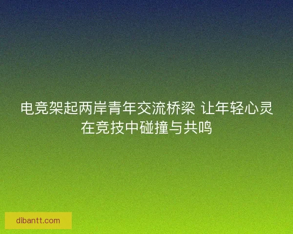 电竞架起两岸青年交流桥梁 让年轻心灵在竞技中碰撞与共鸣